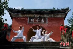 匈牙利华侨武者于黧：“太急不能太极”